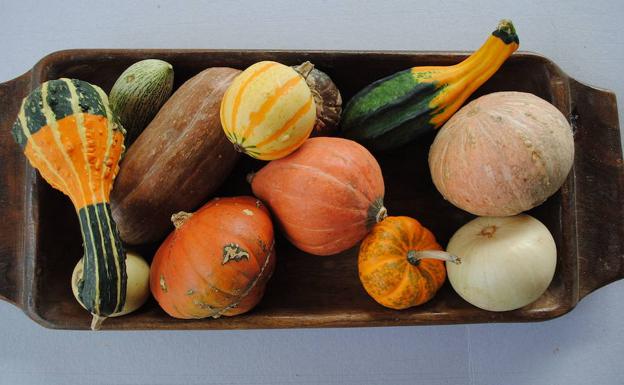 Frutas y verduras perfectas para el otoño
