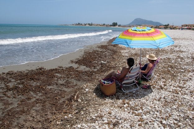 Dos bañistas toman el sol en la playa de l'Almadrava repleta de algas y cañas.