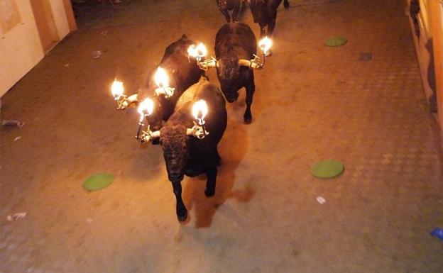 Toros embolados, en una imagen de archivo./LP