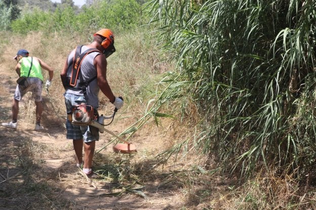 Los operarios desbrozan a mano una zona.