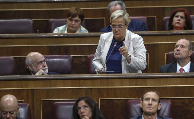 Ángeles Álvarez interviene en el Congreso./Efe
