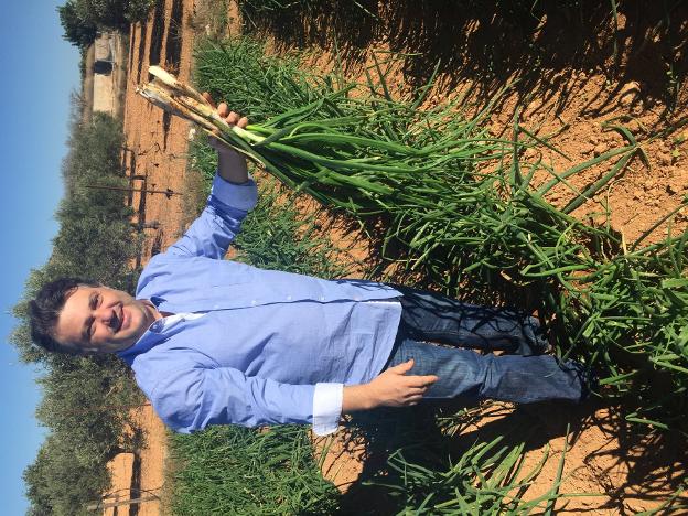 Vuelven los calçots a Monte Mayor
