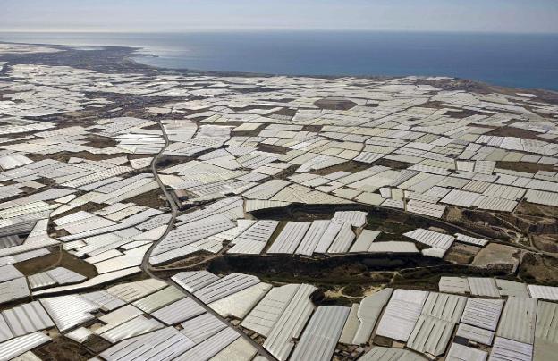 Concentración de invernaderos del 'Mar de plástico' en El Ejido. / lp