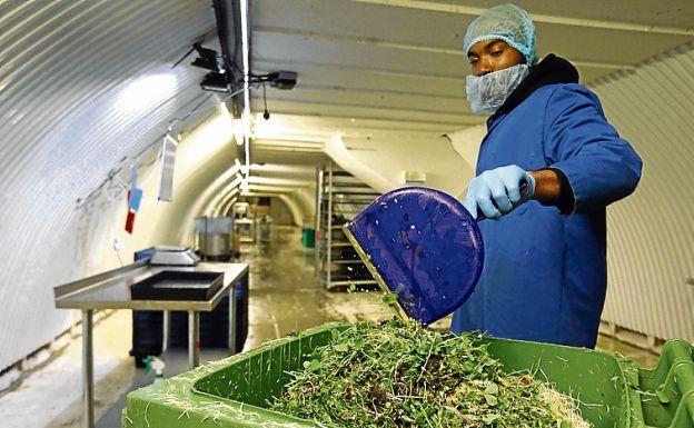 Un operario deshecha parte de la producción.