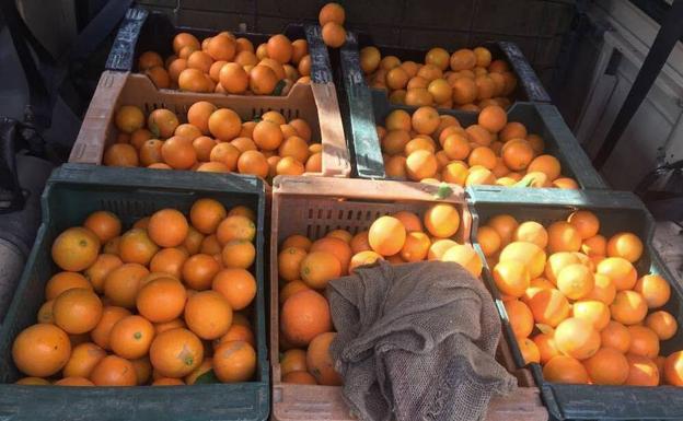 Detenidos por el robo de 1.200 kilos de naranjas