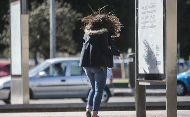 El fuerte viento obliga a cerrar los parques municipales de Valencia