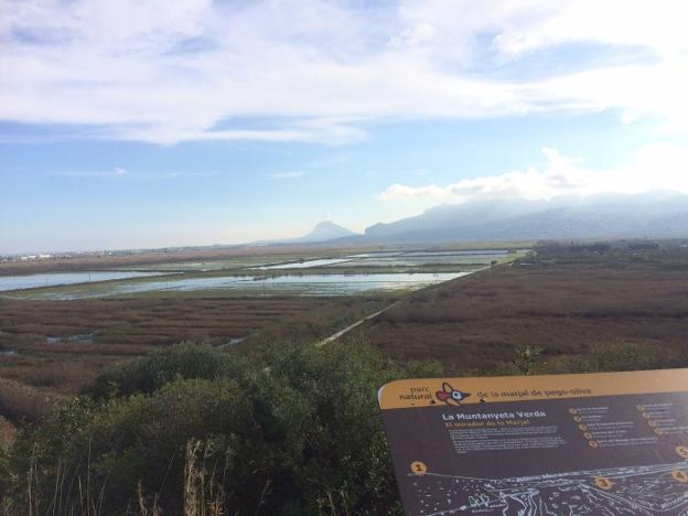 Imagen panorámica del parque natural de la Marjal Pego-Oliva desde el mirador de La Muntanyeta Verda. / Óscar de la dueña