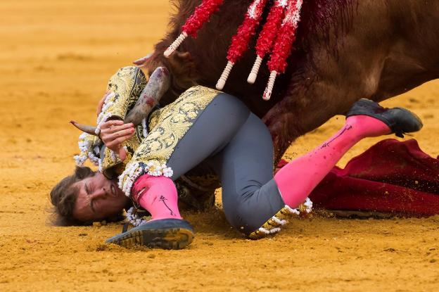 Román, acorralado por el toro. / efe