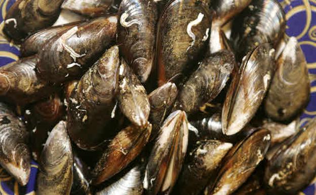 Una intoxicación por consumo de mejillones deja 39 afectados en Xàbia