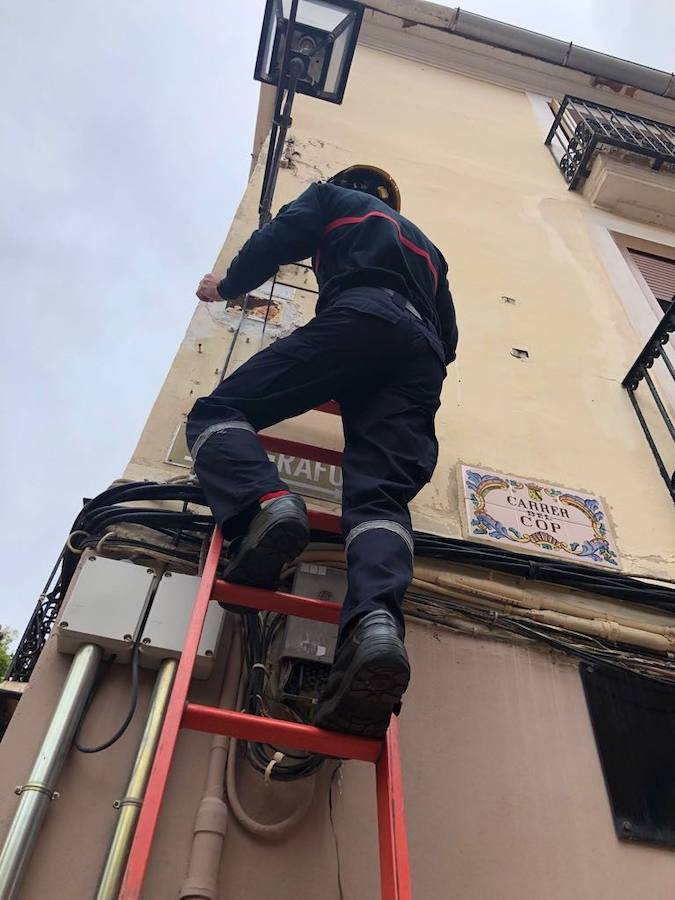 Los bomberos rescatan a una tórtola atrapada en una farola de Dénia