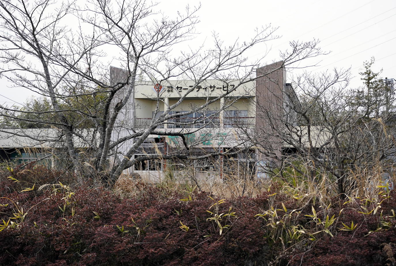 Fotos Fukushima abandonado 10 años después del desastre Las Provincias