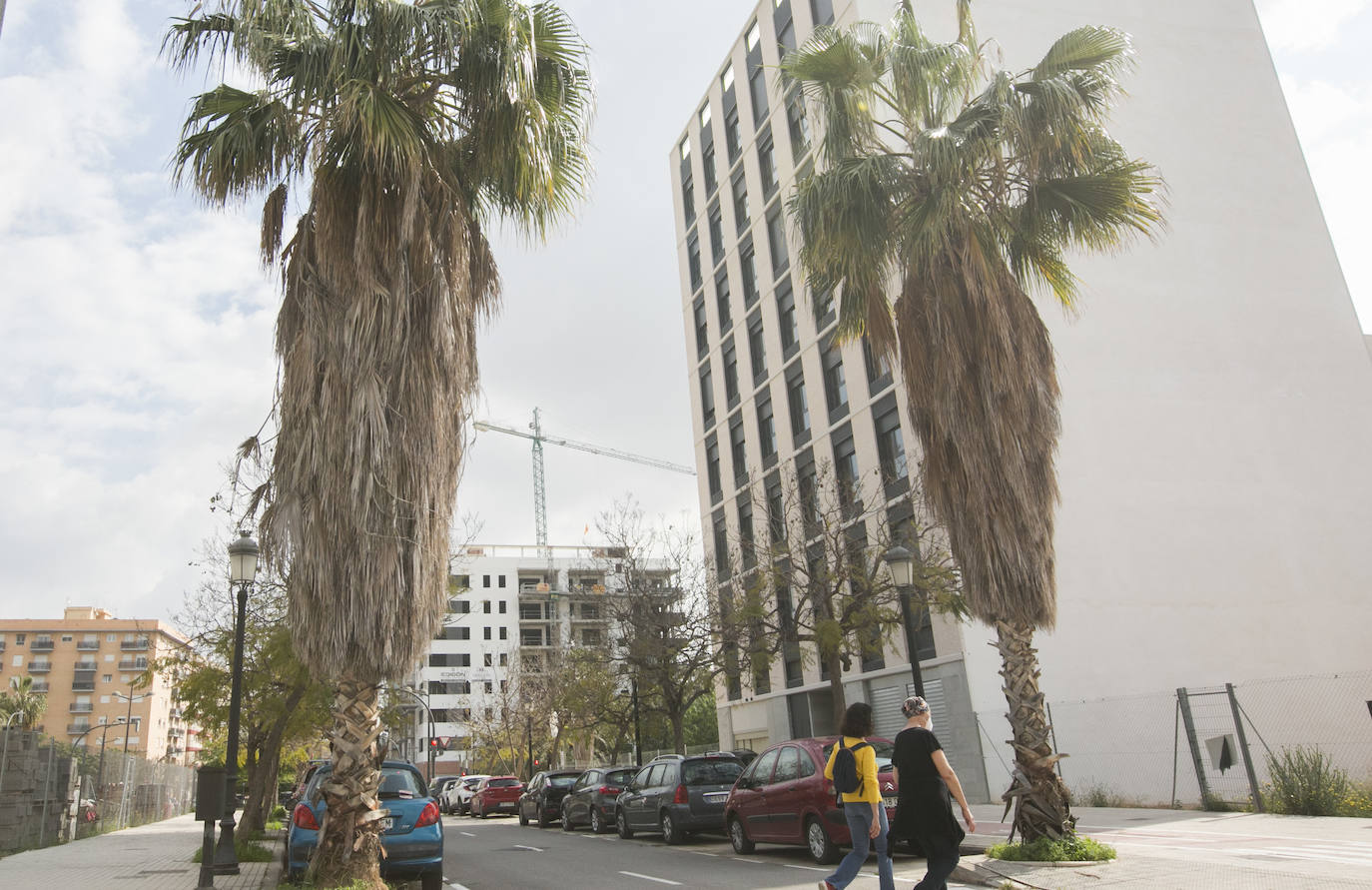 Fotos Los Vecinos De Valencia Se Quejan De La Falta De Poda Las