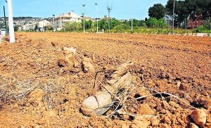 Malestar en la Vía Augusta de Xàbia por la suciedad y dejadez en la zona