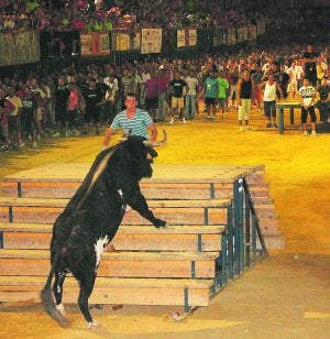 El toro ratón durante un acto de bous al carrer, el año pasado. :: LP/