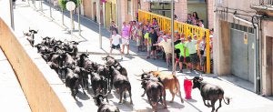 El encierro de ayer congregó a decenas de aficionados en las calle Crist del Mar de Benicarló. ::
JORDI MAURA/