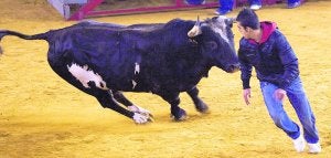 Un joven recorta a Ratón en un festejo taurino celebrado en la plaza de toros de Valencia. :: D. TORRES/