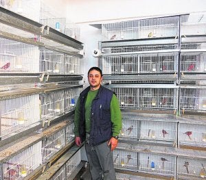 Instalaciones. Diego González con sus pájaros. ::
ENRIQUE MORA/