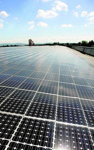 Cientos de paneles instalados en un parque fotovoltaico. :: REUTERS/