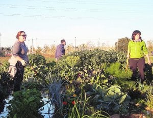 Algunos de los vecinos que cultivan los huertos de Benimaclet. ::
LP/
