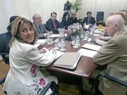 La Consellera de Cultura Trini Miró asiste a una reunión de la comisión del Teatro Romano de Sagunto sobre la sentencia del Tribunal Supremo que obliga a revertir las obras. / Damián Torres./