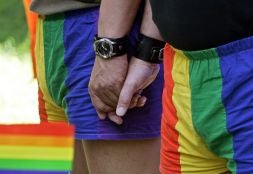 Un pareja de hombres se dan la mano durante un desfile del 'Orgullo Gay', vestidos con las banderas./