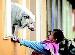 Una niña evitando que un prerro le lama la cara./