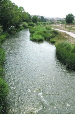 AGUA TURBIA. El Turia tras pasar por la presa. DAMIÁN TORRES/