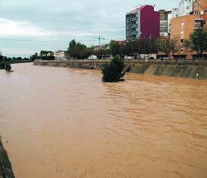 PUNTO CRÍTICO. Río Magro a su paso por Algemesí . / J. PENADÉS/
