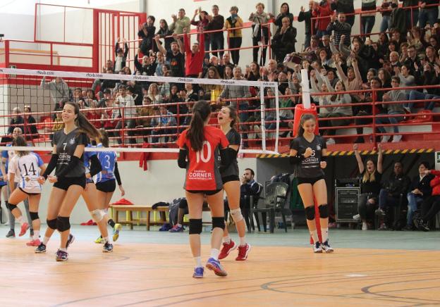 deportivos de voleibol