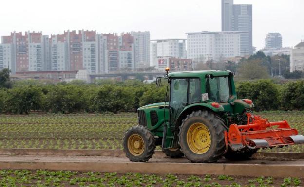 Un tractor, en la huerta de Valencia, el pasado 6 de marzo.
