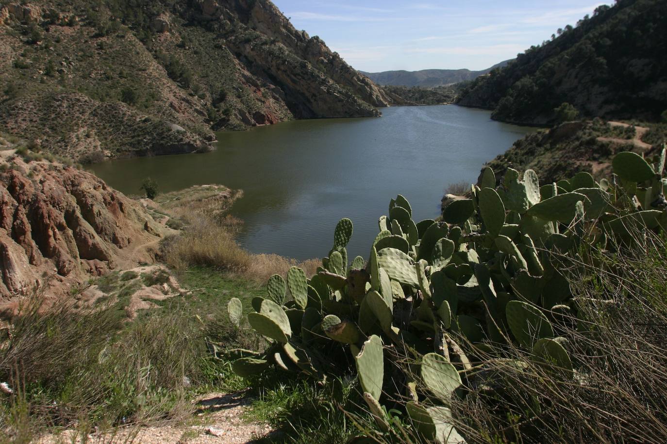 ¿La reina de las cenizas?