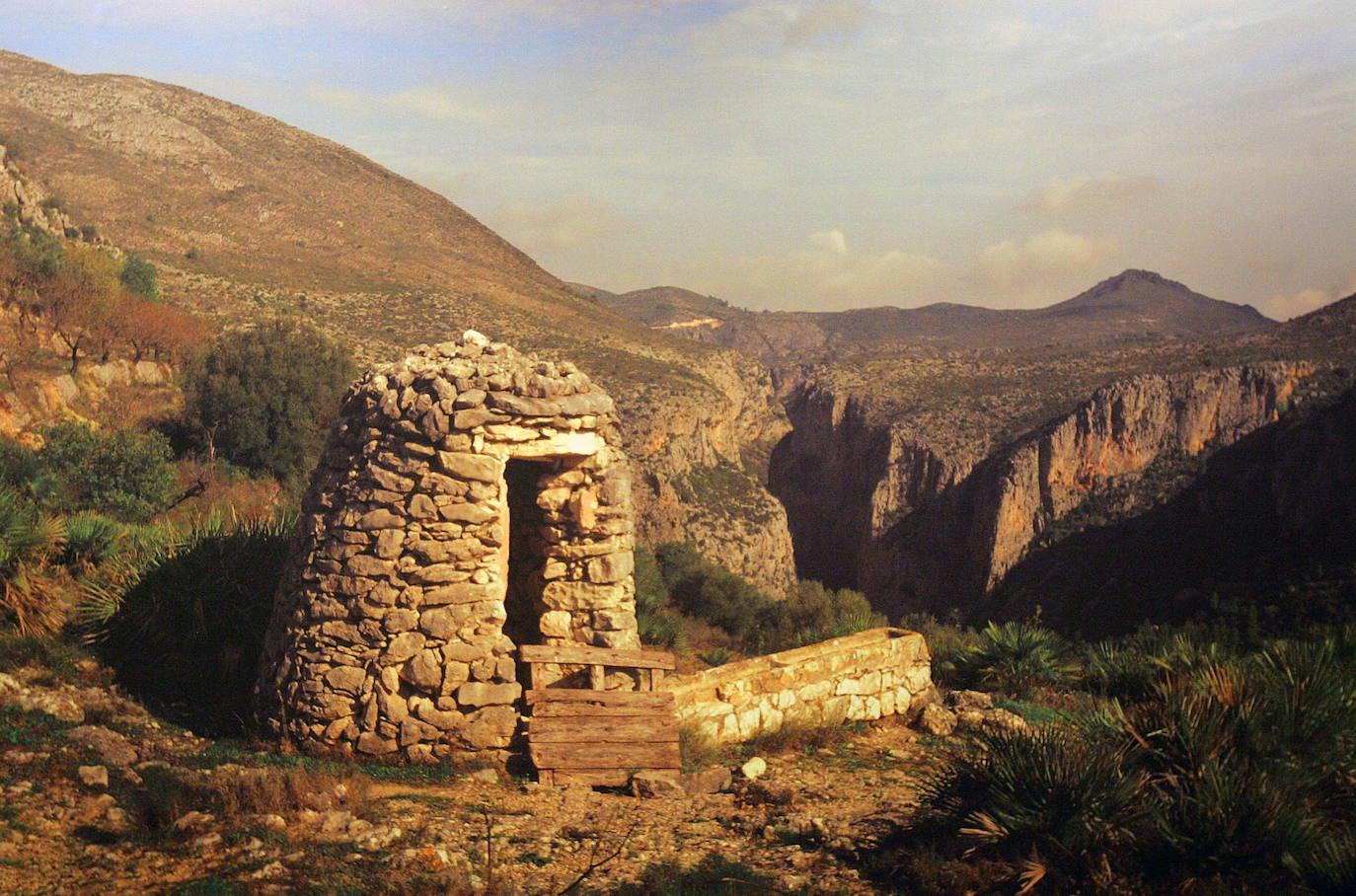 ¿La reina de las cenizas?