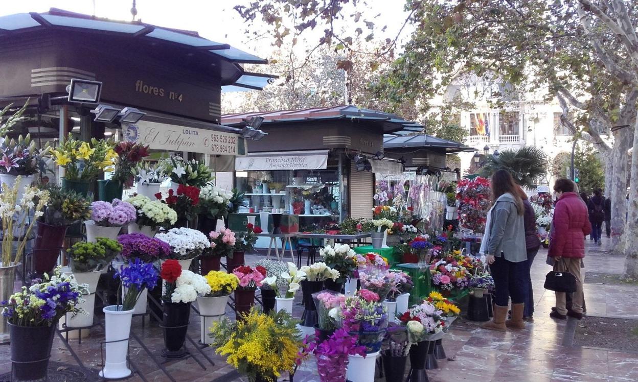 Los floristas de la Plaza del Ayuntamiento lanzan un SOS | Las Provincias