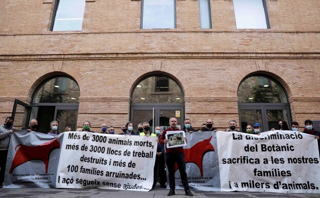 Protesta de los ganaderos ante la Conselleria de Agricultura. /efe/ ana escobar