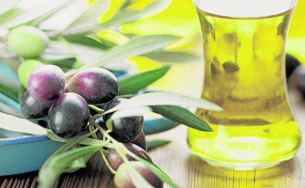 El aceite de oliva se convierte en uno de los mayores atractivos para visitar la comarca del Alto Palancia de Castellón./LP