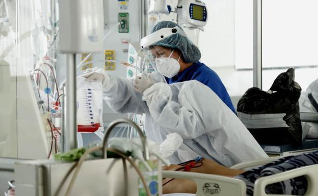 La Comunidad Valenciana registra 13 muertos y 87 nuevos casos de coronavirus