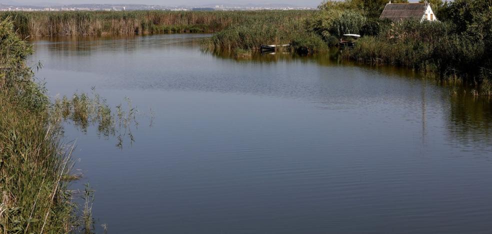 La acumulación de sedimentos en las golas obliga a hacer el mayor dragado en la Albufera - Vimarsana News