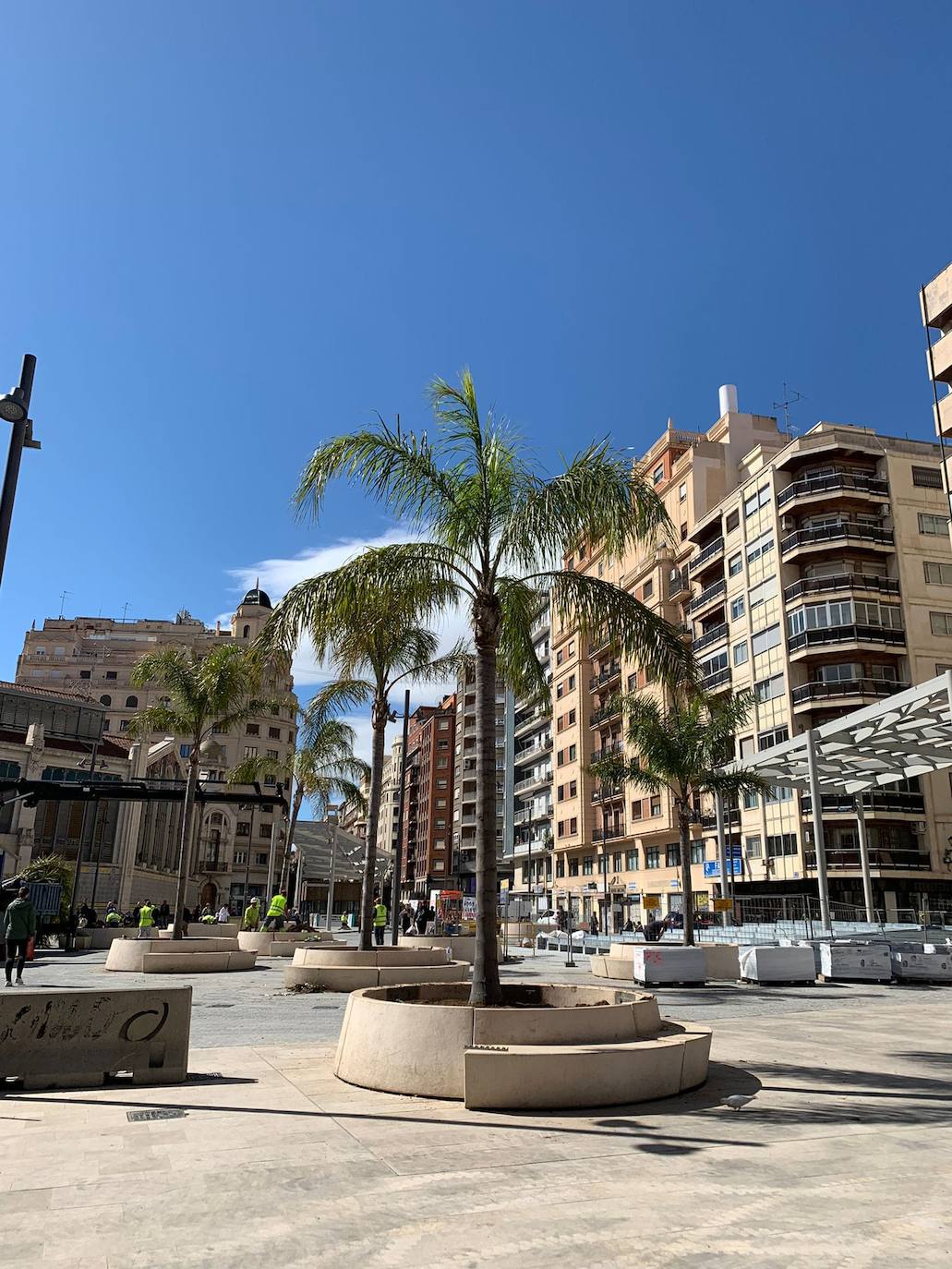Palmeras en la plaza del pueblo de Brujas