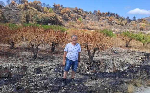 José Vicente, uno de los agricultores de la Vall d'Alcalà, junto a uno de sus campos afectados por el fuego. 