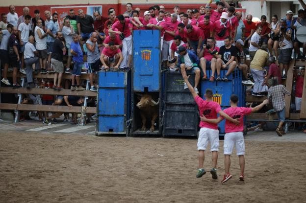 Salida de la novilla en un festejo taurino que tuvo lugar en la Pobla de Farnals ayer por la tarde.  Iván Arlandis