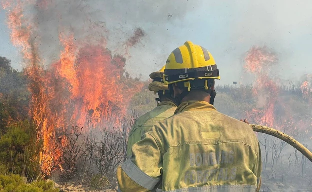 Apagar un incendio forestal este verano. 