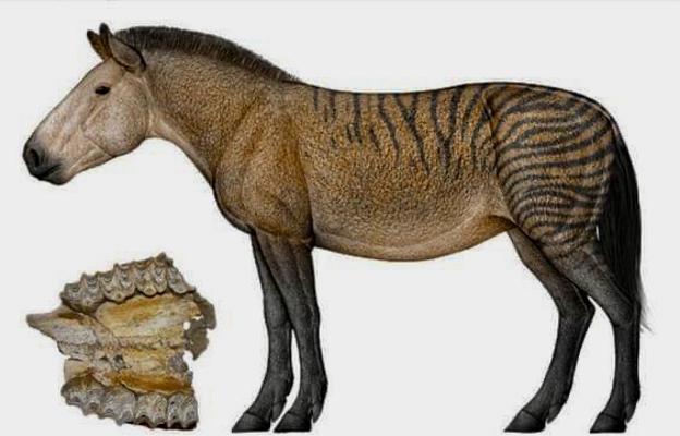 Réplica de cómo era el Hipparion. 