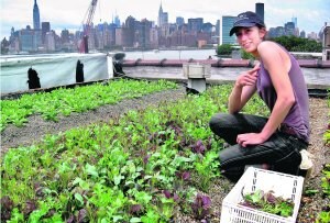 La más grande. Annie Novak cultiva tomates, albahaca y escarolas en su terraza de 560 metros cuadrados de Greenpoint, en Brooklyn.  ::
                             CARLOS FRESNEDA/