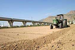 Un tractor ara un bancal junto al tubo del trasvase del Tajo-Segura que envía el agua hasta el embalse de la Pedrera, a su paso por el término municipal de Orihuela./